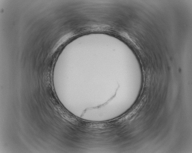 X0000062851211200602031618