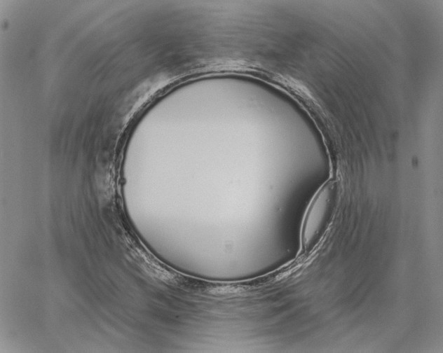 X0000062851212200602031618