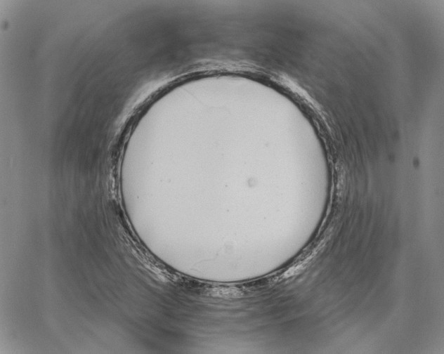 X0000062851215200602031618