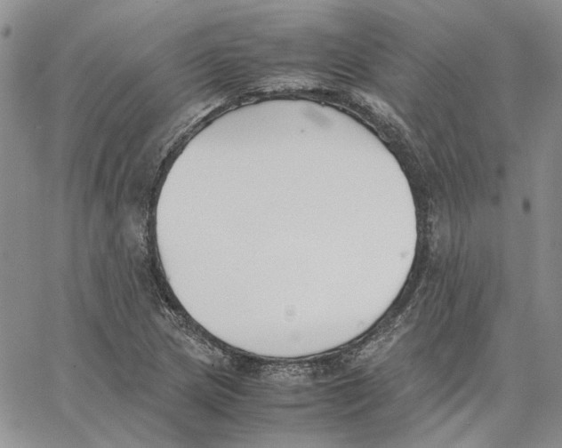 X0000062851217200602031618