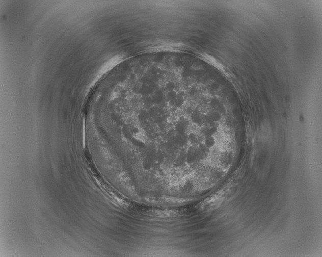 X0000062851219200602031618