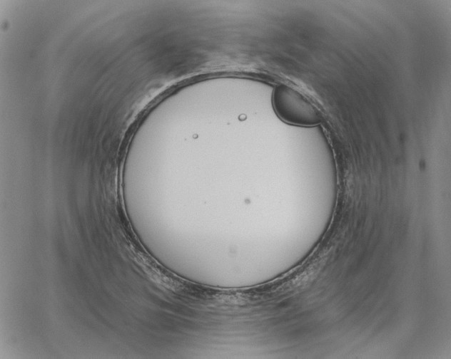 X0000062851220200602031618