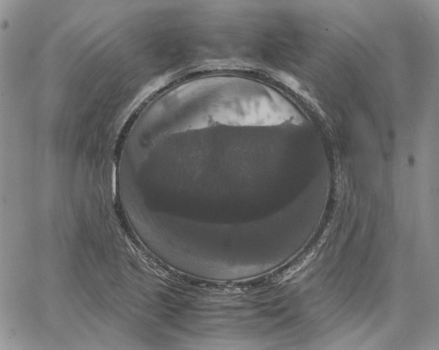 X0000062851221200602031618