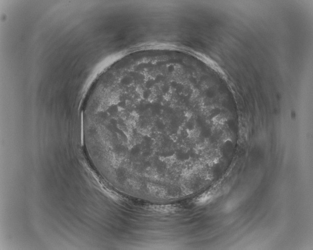 X0000062851223200602031618