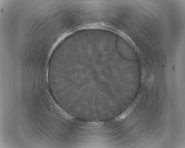 X0000062851224200602031618