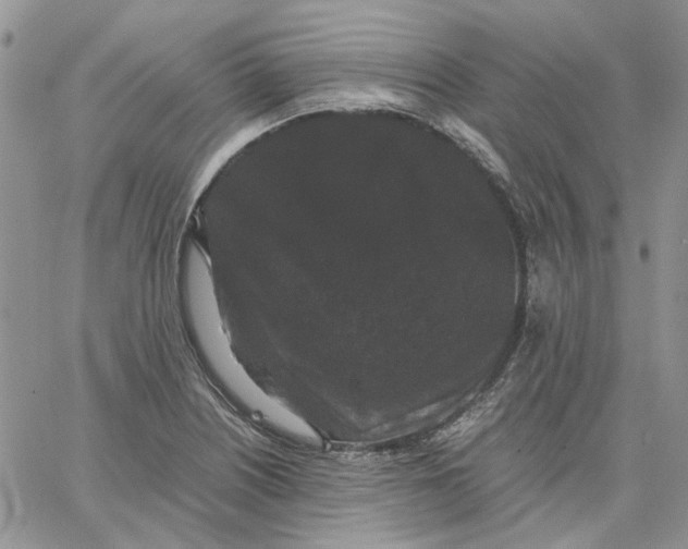 X0000062851226200602031618