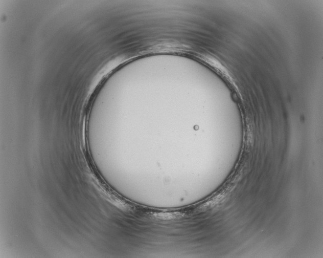 X0000062851227200602031618