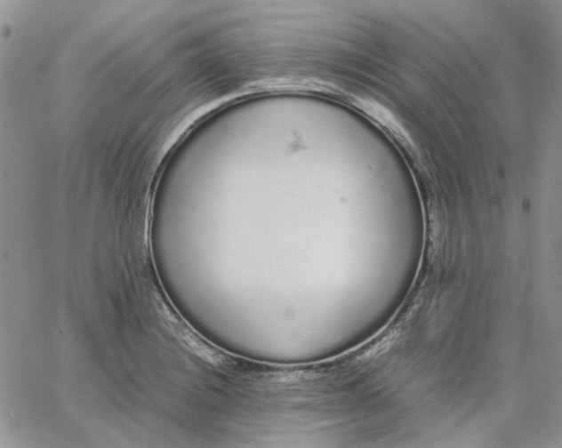 X0000062851228200602031618