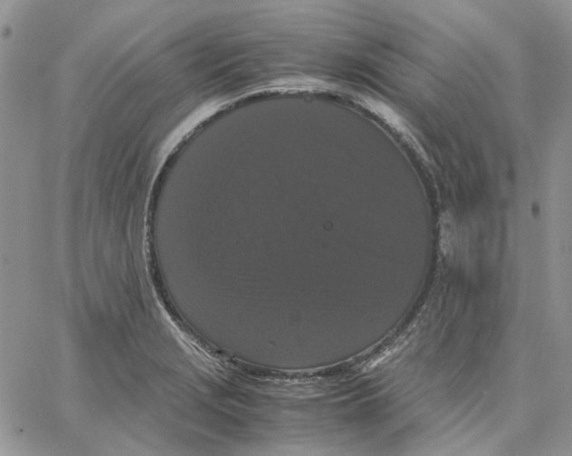 X0000062851229200602031618