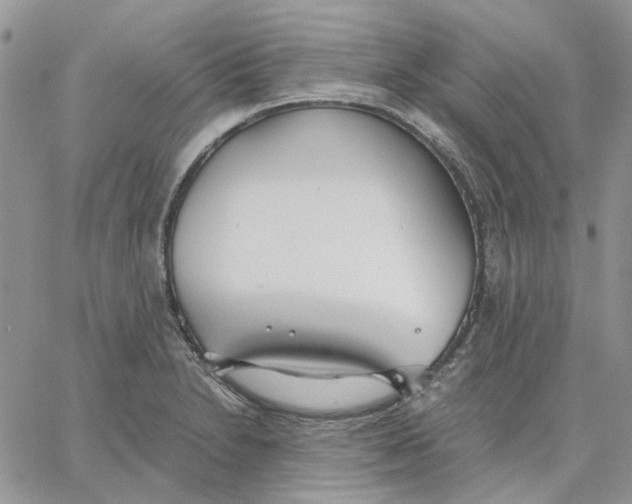 X0000062851230200602031618