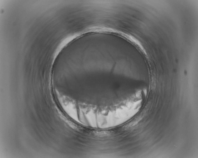 X0000062851231200602031618