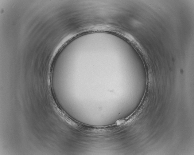 X0000062851232200602031618