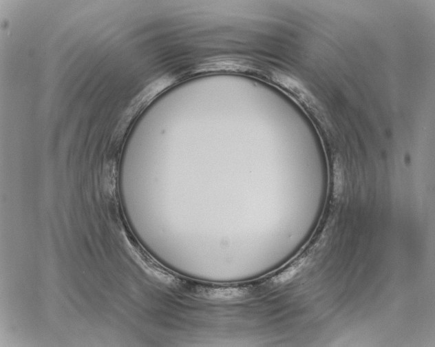 X0000062851233200602031619