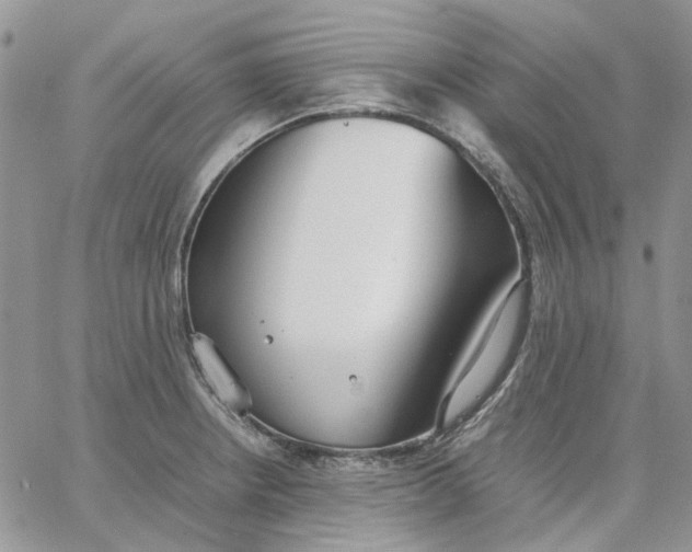 X0000062851234200602031619