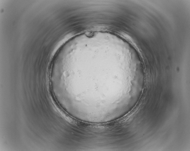 X0000062851235200602031619