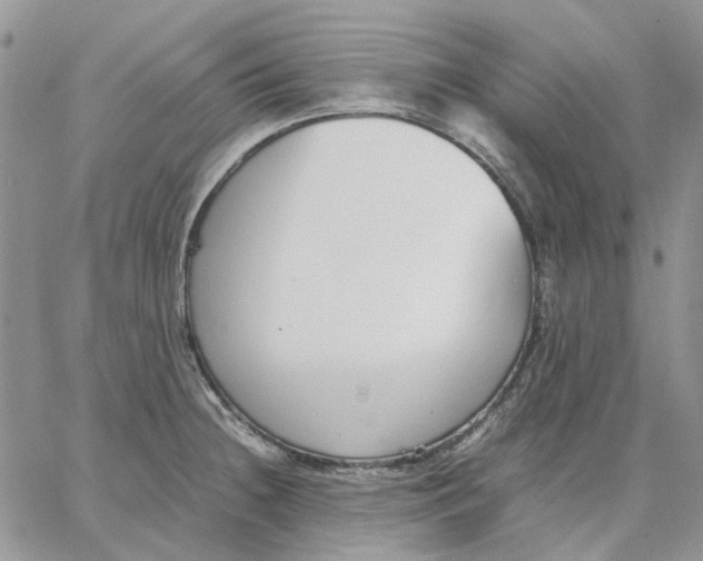 X0000062851236200602031619