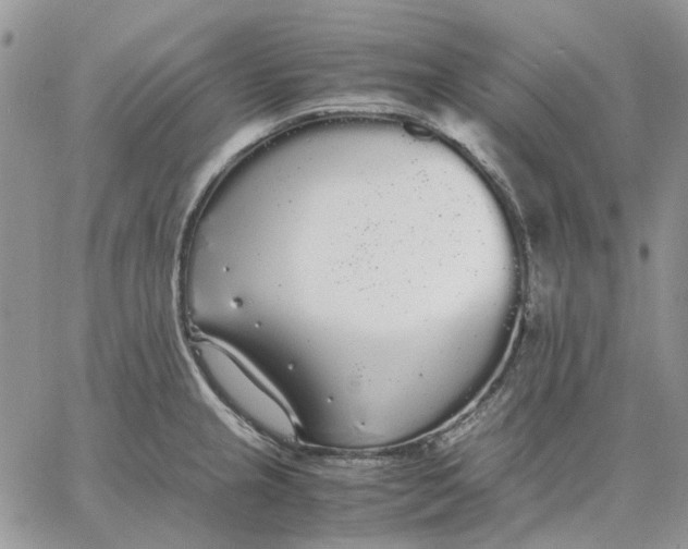 X0000062851237200602031619