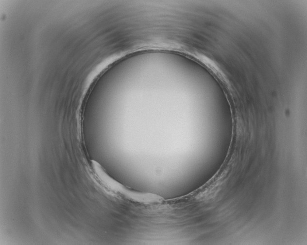 X0000062851238200602031619