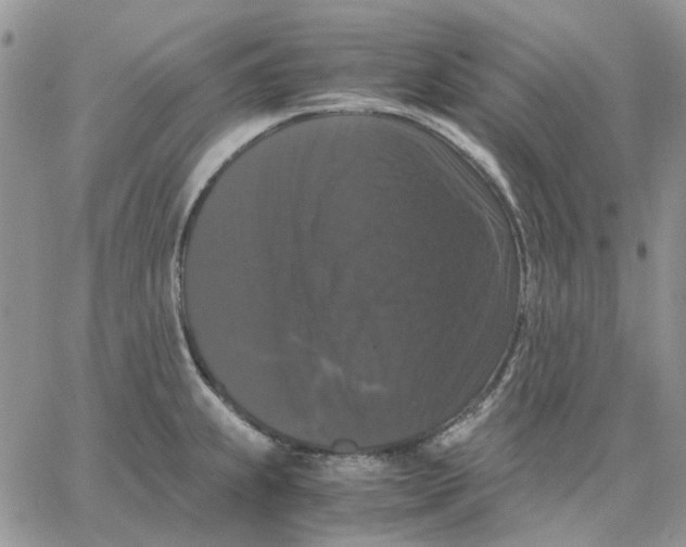 X0000062851239200602031619