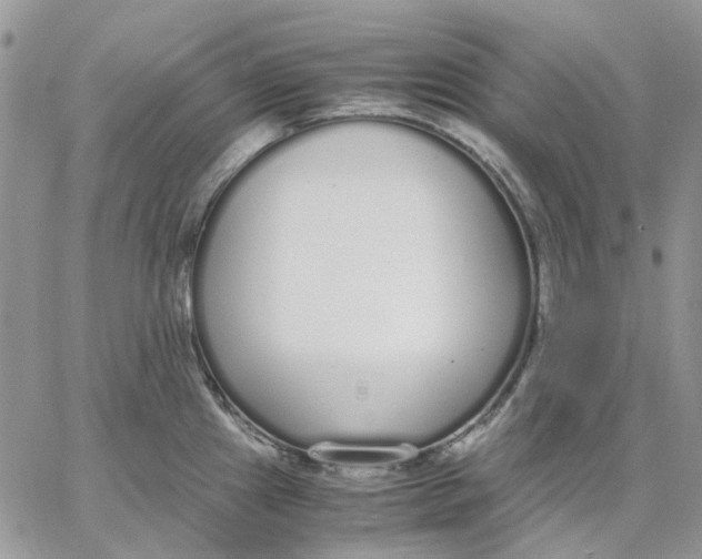 X0000062851241200602031619