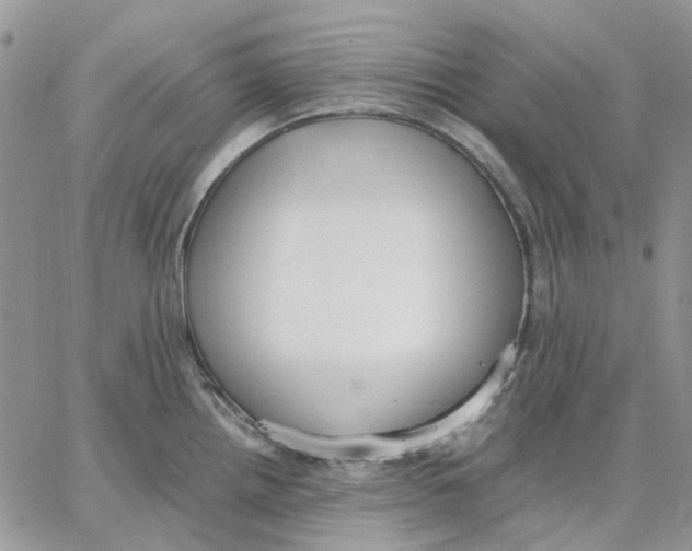 X0000062851242200602031619