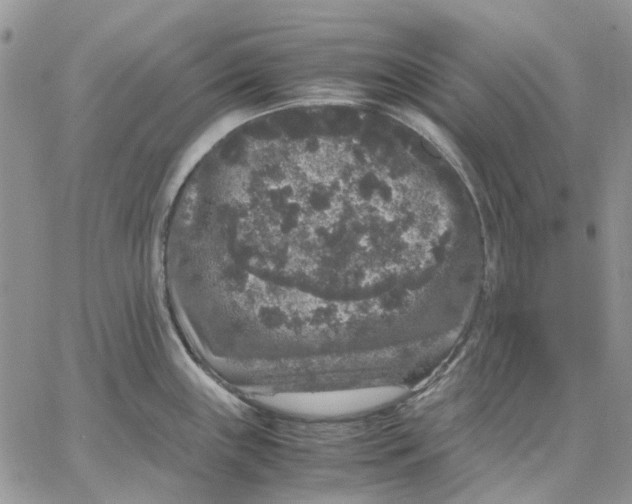 X0000062851243200602031619