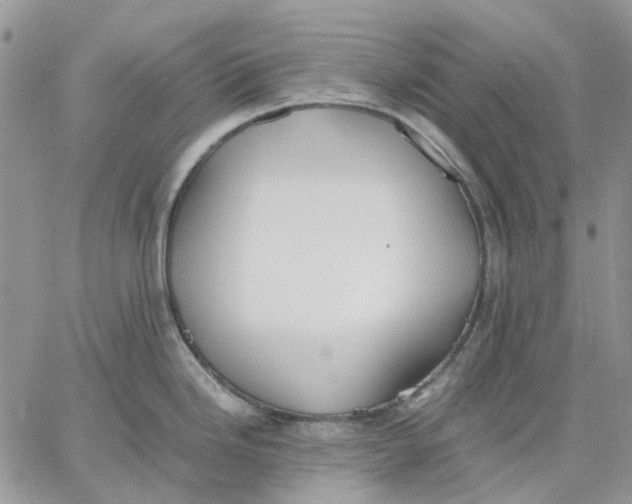 X0000062851246200602031619