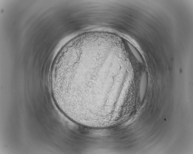 X0000062851247200602031619