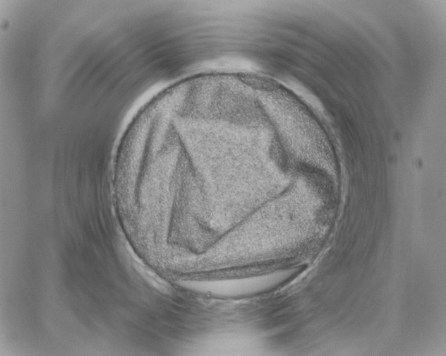 X0000062851248200602031619