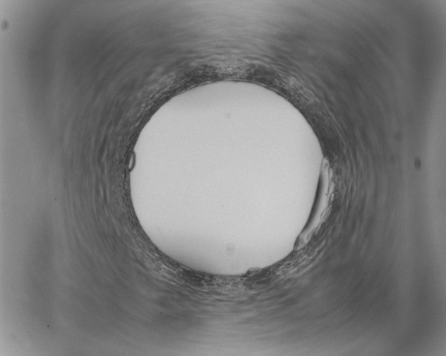 X0000062851249200602031618