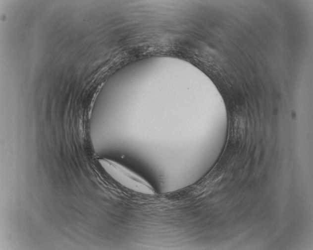 X0000062851250200602031618