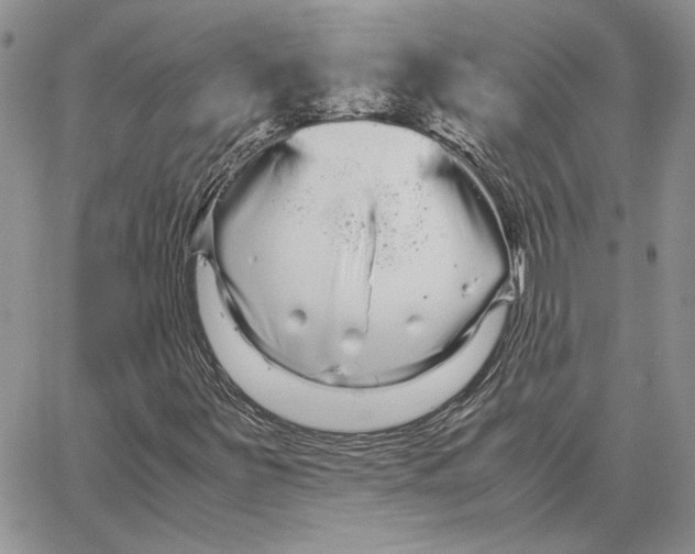 X0000062851251200602031618