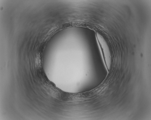 X0000062851252200602031618