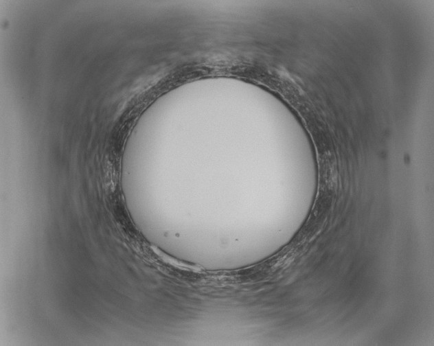 X0000062851253200602031618