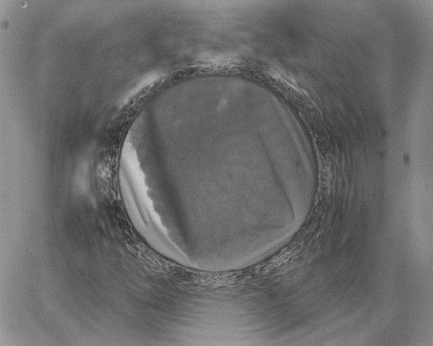 X0000062851254200602031618