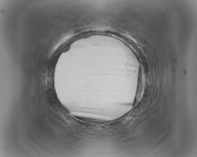 X0000062851255200602031618