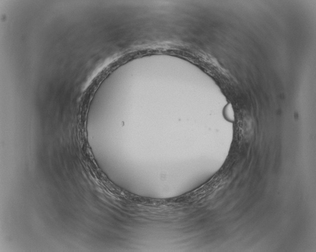 X0000062851256200602031618