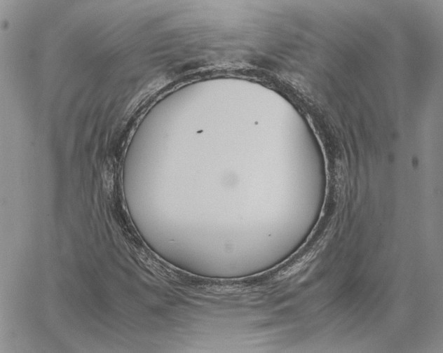 X0000062851257200602031618