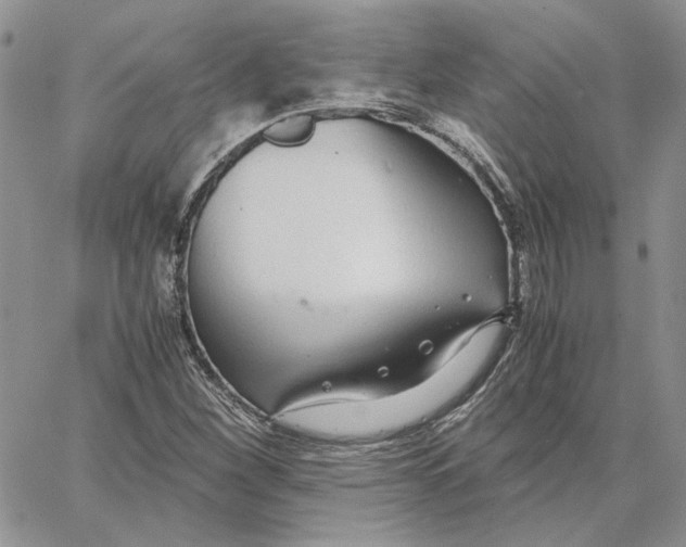 X0000062851260200602031618