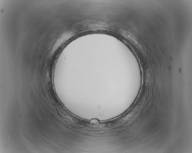 X0000062851261200602031618