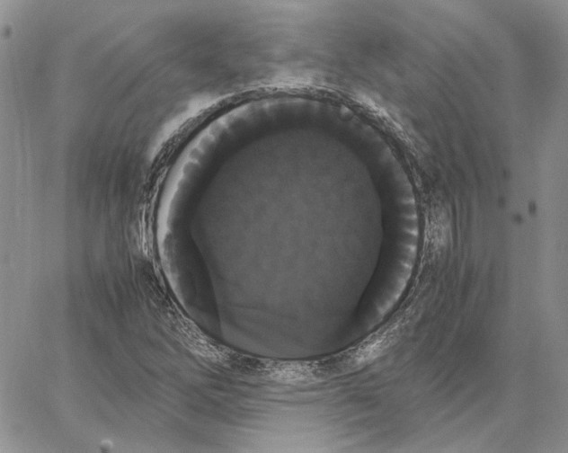 X0000062851262200602031618