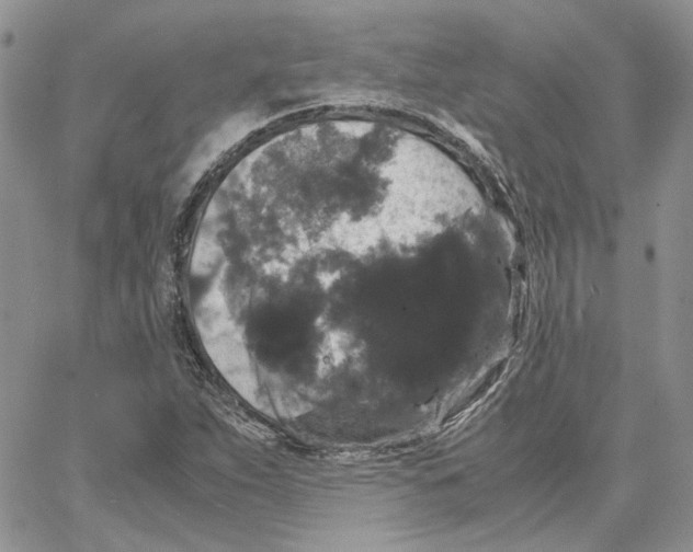 X0000062851263200602031618