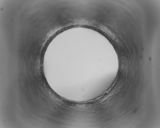 X0000062851264200602031618