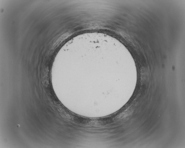 X0000062851265200602031618