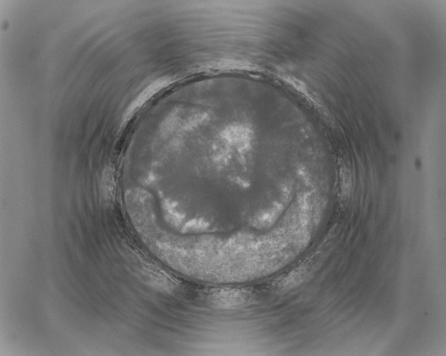 X0000062851266200602031618