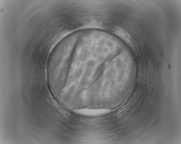 X0000062851268200602031618