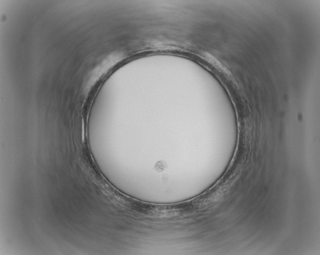 X0000062851269200602031618