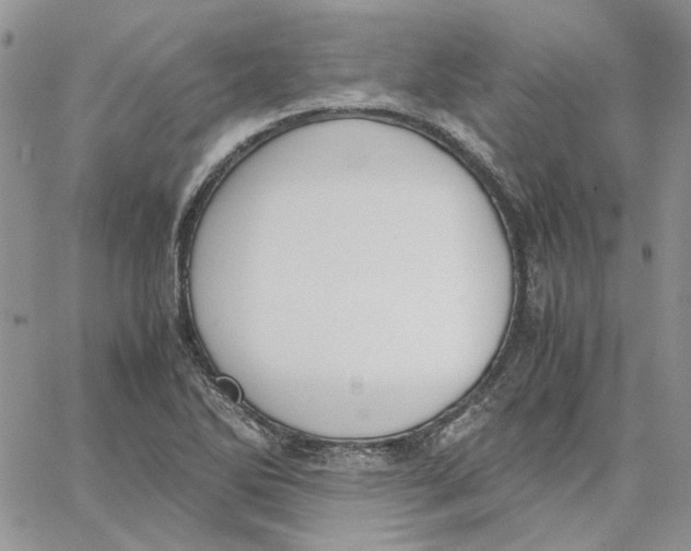 X0000062851270200602031618