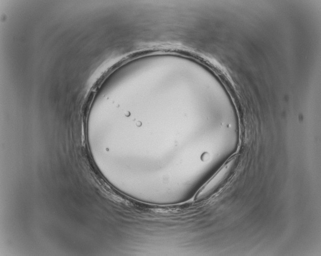 X0000062851271200602031618