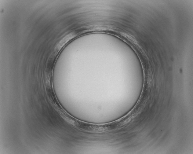 X0000062851273200602031618